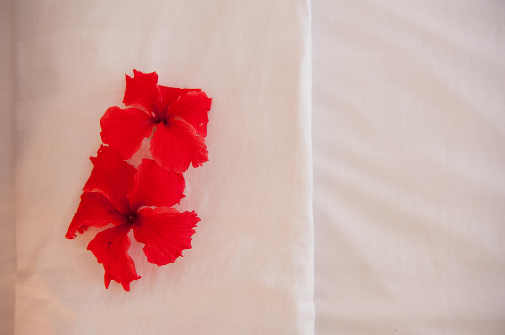 Phka Villa Hotel Battambang Zewnętrze zdjęcie